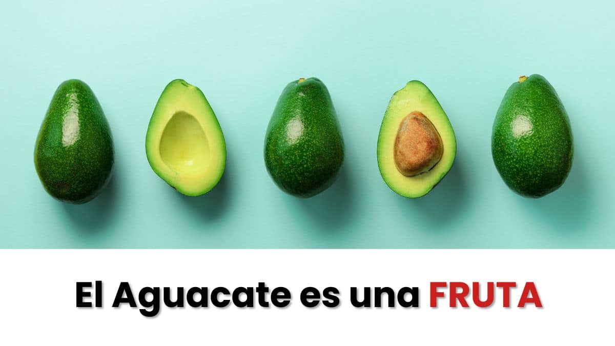 Aguacate es fruta o verdura