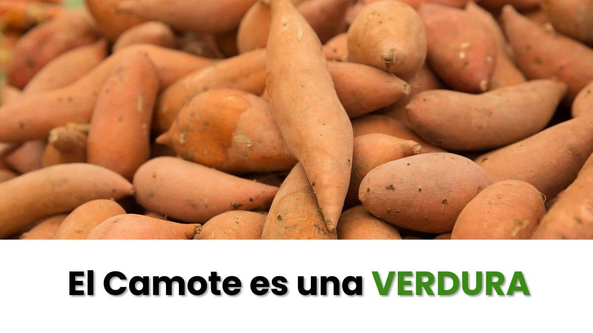 Camote fruta o verdura